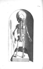 The back-part of the skeleton of a foetus of nine months - The anatomy of human bodies,... containin [...]