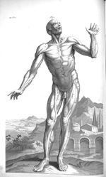 The external muscles as they appear in their proper situation - The anatomy of human bodies,... cont [...]