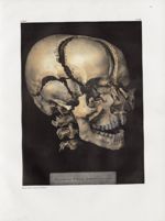 Planche 30 - Tête de squelette, les os écartés - Traité complet de l'anatomie de l'homme, par les Dr [...]