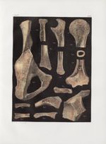 Planche 42 - Détails de tissu d'os - Traité complet de l'anatomie de l'homme, par les Drs Bourgery e [...]