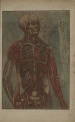 Pl. I. [Angéologie (angiologie) de la partie supérieure du corps humain] - Anatomie des parties de l [...]