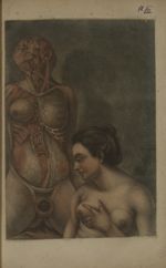 Pl. VII. [Ecorché d'une femme accouchant (muscles, seins) / Femme accouchant (haut du corps)] - Anat [...]