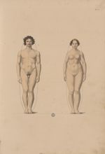 PL. I - [anatomie en surface de l'homme et de la femme] - Nouvelles démonstrations d'accouchements