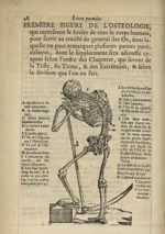 Premiere figure de l'osteologie, qui represente le Scelet de tout le corps humain - L'Oeconomie chir [...]