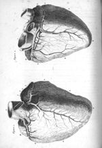[Fig.1.Fig.2.] - Traité nouveau de la structure et des causes du mouvement naturel du coeur, par M.  [...]