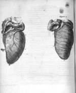[Fig.1. Fig.2.] - Traité nouveau de la structure et des causes du mouvement naturel du coeur, par M. [...]