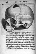 Petri Paaw Amsteldamensis Succenturiatus Anatomicus. continens Commentaria in Hippocratem, de Capiti [...]