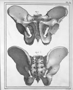 Fig. 1 et 2. Bassin d'un homme de quarante ans - Manuel d'anatomie descriptive du corps humain, repr [...]