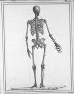 Squelette d'un homme âgé de 38 ans, remarquable pendant sa vie par la beauté de son corps et la régu [...]