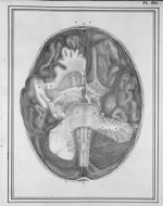 Manuel d'anatomie descriptive du corps humain, représentée en planches lithographiées. Tome III