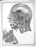Manuel d'anatomie descriptive du corps humain, représentée en planches lithographiées. Tome IV