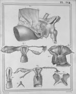 Manuel d'anatomie descriptive du corps humain, représentée en planches lithographiées. Tome V
