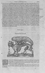 Fig. 1. Succarath - Les Oeuvres d’Ambroise Paré, conseiller et premier chirurgien du roy, divisées e [...]