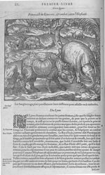 Fig. 3. Rhinoceros, & combat contre l'éléphant - Les Oeuvres d’Ambroise Paré, conseiller et premier  [...]