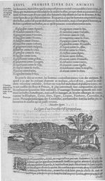 Fig. 10. Crocodile - Les Oeuvres d’Ambroise Paré, conseiller et premier chirurgien du roy, divisées  [...]