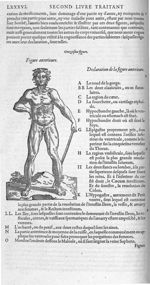 Fig. 11. Figure antérieure - Les Oeuvres d’Ambroise Paré, conseiller et premier chirurgien du roy, d [...]