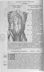 Fig. 13. Ventre inférieur - Les Oeuvres d’Ambroise Paré, conseiller et premier chirurgien du roy, di [...]