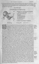 Fig. 23. Vessie & verge - Les Oeuvres d’Ambroise Paré, conseiller et premier chirurgien du roy, divi [...]