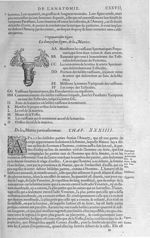 Fig. 24. Matrice - Les Oeuvres d’Ambroise Paré, conseiller et premier chirurgien du roy, divisées en [...]