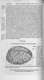 Fig. 30. Cerveau à découvert - Les Oeuvres d’Ambroise Paré, conseiller et premier chirurgien du roy, [...]