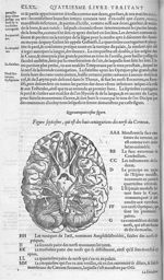 Fig. 44. Huit coniugations des nerfs du cerveau - Les Oeuvres d’Ambroise Paré, conseiller et premier [...]