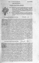 Fig. 46. Rets admirable - Les Oeuvres d’Ambroise Paré, conseiller et premier chirurgien du roy, divi [...]