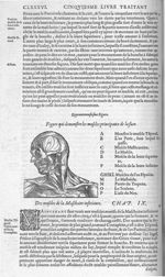 Fig. 49. Muscles principaux de la face - Les Oeuvres d’Ambroise Paré, conseiller et premier chirurgi [...]