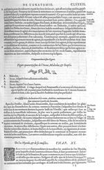 Fig. 52. Incus, Maleolus, & Stapés - Les Oeuvres d’Ambroise Paré, conseiller et premier chirurgien d [...]