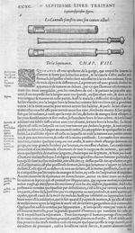 Fig. 77. La Cannulle fenestree et son cautere actuel - Les Oeuvres d’Ambroise Paré, conseiller et pr [...]