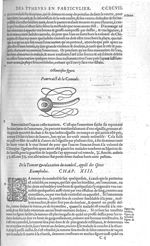 Fig. 80. Pourtraict de la Cannulle - Les Oeuvres d’Ambroise Paré, conseiller et premier chirurgien d [...]