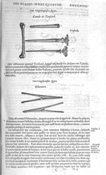 Fig. 125. Canule de Tirefond / Fig. 126. Dilatatoire - Les Oeuvres d’Ambroise Paré, conseiller et pr [...]