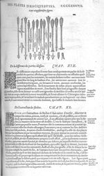 Fig. 127. [Flèches] - Les Oeuvres d’Ambroise Paré, conseiller et premier chirurgien du roy, divisées [...]
