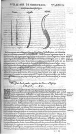 Fig. 162. Crochets / Aiguille / Bistouris - Les Oeuvres d’Ambroise Paré, conseiller et premier chiru [...]