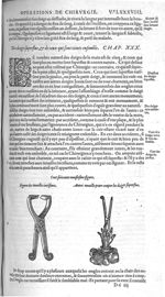 Fig. 169. Tenailles incisives / Tenaille pour couper les doigts superflus - Les Oeuvres d’Ambroise P [...]
