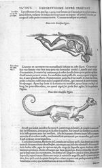 Fig. 210 [Femme engendrant un serpent] / 211. [Monstre] - Les Oeuvres d’Ambroise Paré, conseiller et [...]