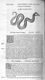 Fig. 218. Basilic - Les Oeuvres d’Ambroise Paré, conseiller et premier chirurgien du roy, divisées e [...]