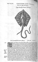 Fig. 221. Poisson nommé pastenaque - Les Oeuvres d’Ambroise Paré, conseiller et premier chirurgien d [...]