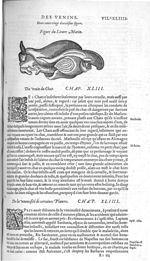 Fig. 222. Lievre marin - Les Oeuvres d’Ambroise Paré, conseiller et premier chirurgien du roy, divis [...]