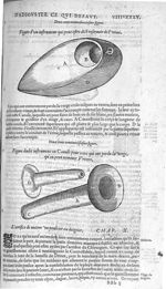 Fig. 232. Figure d'un instrument qui peut estre dict reservoir de l'urine / Fig. 233. Canule pour ce [...]