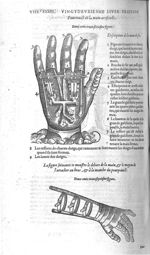 Fig. 236. Pourtraict de la main artificielle / Fig. 237. Dehors de la main artificielle, et le moyen [...]