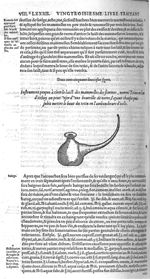 Fig. 252. Instrument propre à tirer le laict des mammelles des femmes - Les Oeuvres d’Ambroise Paré, [...]