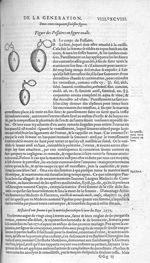 Fig. 256. Pessaires en figure ovalle - Les Oeuvres d’Ambroise Paré, conseiller et premier chirurgien [...]
