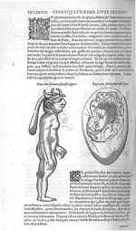 Fig. 267-268. Monstres - Les Oeuvres d’Ambroise Paré, conseiller et premier chirurgien du roy, divis [...]