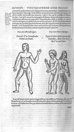 Fig. 280. Hermaphrodite homme & femme / Fig. 281. Deux enfants gemeaux hermaphrodites, estants ionct [...]