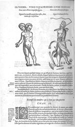 Fig. 285. Figure d'un monstre ayant deux testes, deux jambes et un seul bras / Fig. 286. Figure d'un [...]