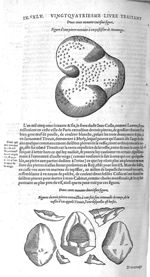 Fig. 291. Pierre extraite à un pastissier de Montargis / Fig. 292. Trois pierres extraictes à une fo [...]