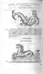 Fig. 305. Diable de mer / Fig. 306. Cheval de mer - Les Oeuvres d’Ambroise Paré, conseiller et premi [...]