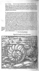 Fig. 315. Limasson de la mer Sarmatique - Les Oeuvres d’Ambroise Paré, conseiller et premier chirurg [...]