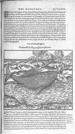 Fig. 316. Hoga poisson monstrueux - Les Oeuvres d’Ambroise Paré, conseiller et premier chirurgien du [...]