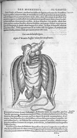 Fig. 318. Poisson volant fort monstrueux - Les Oeuvres d’Ambroise Paré, conseiller et premier chirur [...]